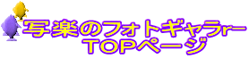 写楽のフォトギャラr- 　TOPページ